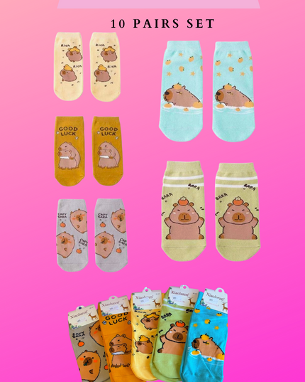 CAPYBARA SOCKS - 10 PAIRS SET