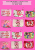 STRAWBERRY MINI BAG KEYCHAIN -12 PCS SET