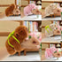 Capybara plushies ( buy 3 price is $5)