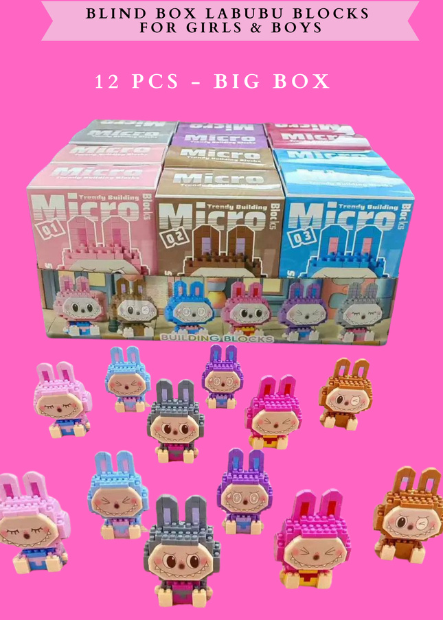 BLIND BOX FRIENDS BLOCKS FOR GIRLS & BOYS 12 PCS - BIG BOX